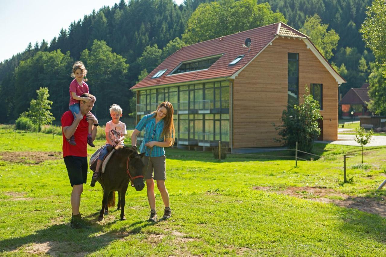Landhotel Weihermuehle Thaleischweiler-Froschen Екстер'єр фото